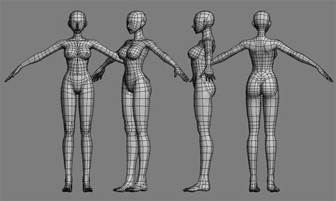 cuerpo mujer 3d